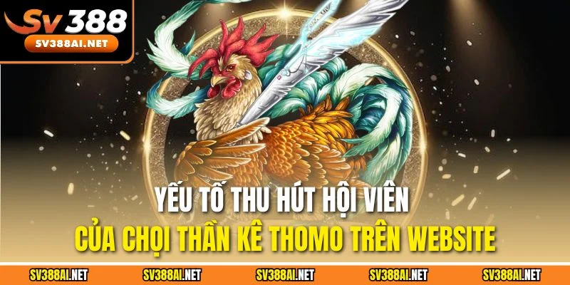 Yếu tố thu hút hội viên của chọi thần kê Thomo trên website Yếu tố thu hút hội viên của chọi thần kê Thomo trên website